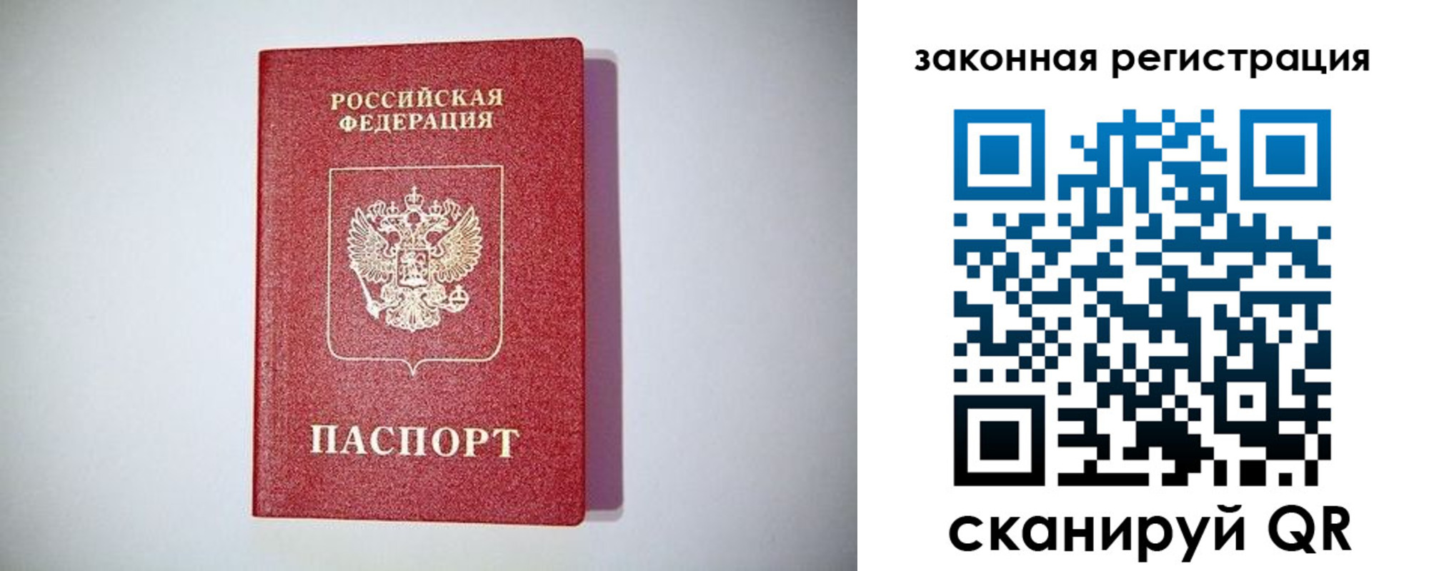 прописка в квартире в Чкаловске