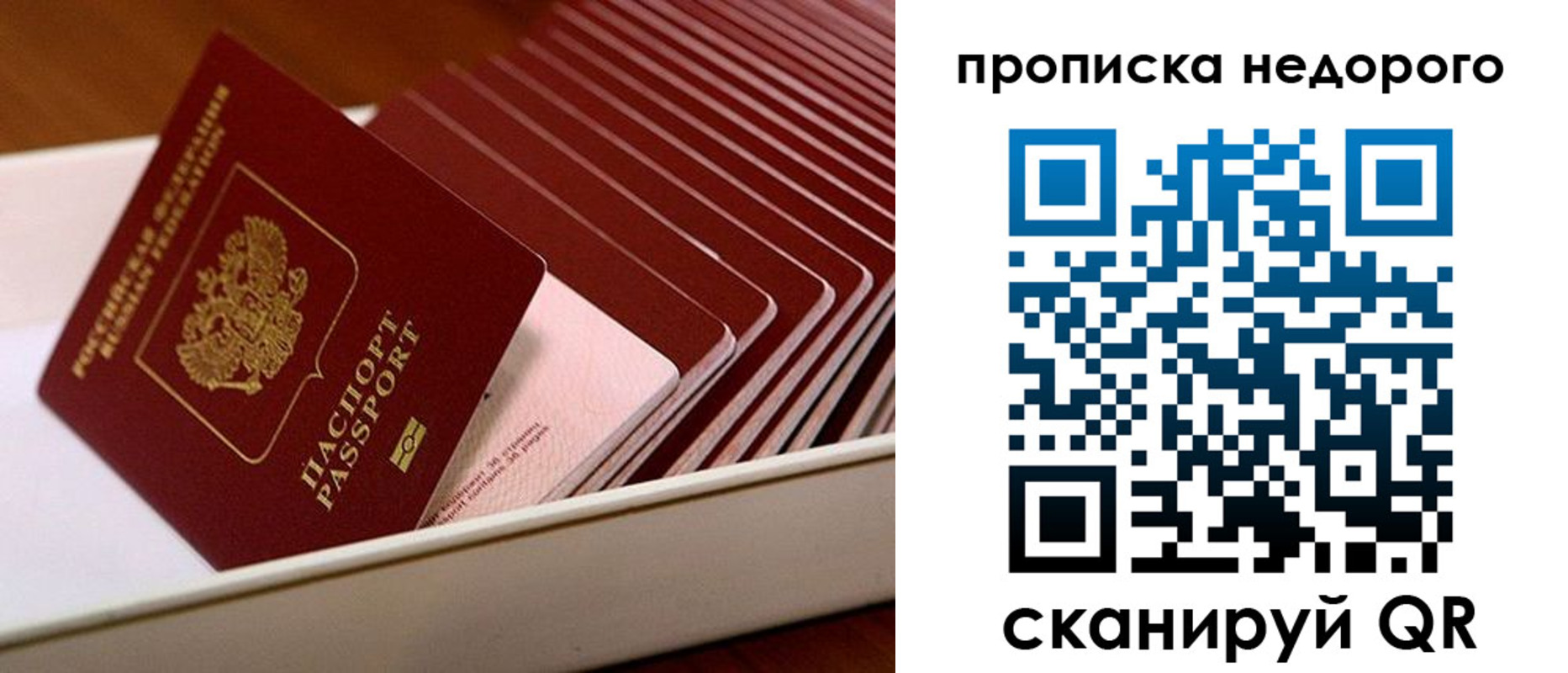 прописка паспорт в Чкаловске